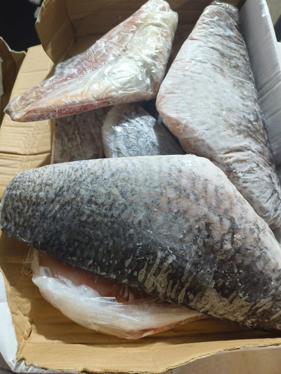 Fillet Kakap Putih