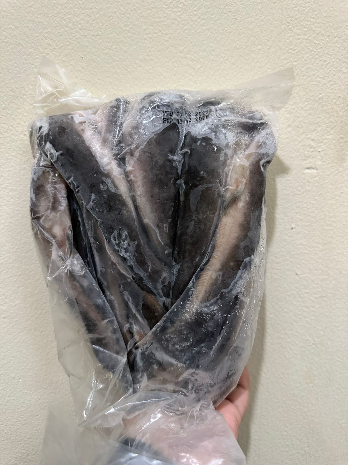 Ikan Lele Utuh Tanpa Kepala