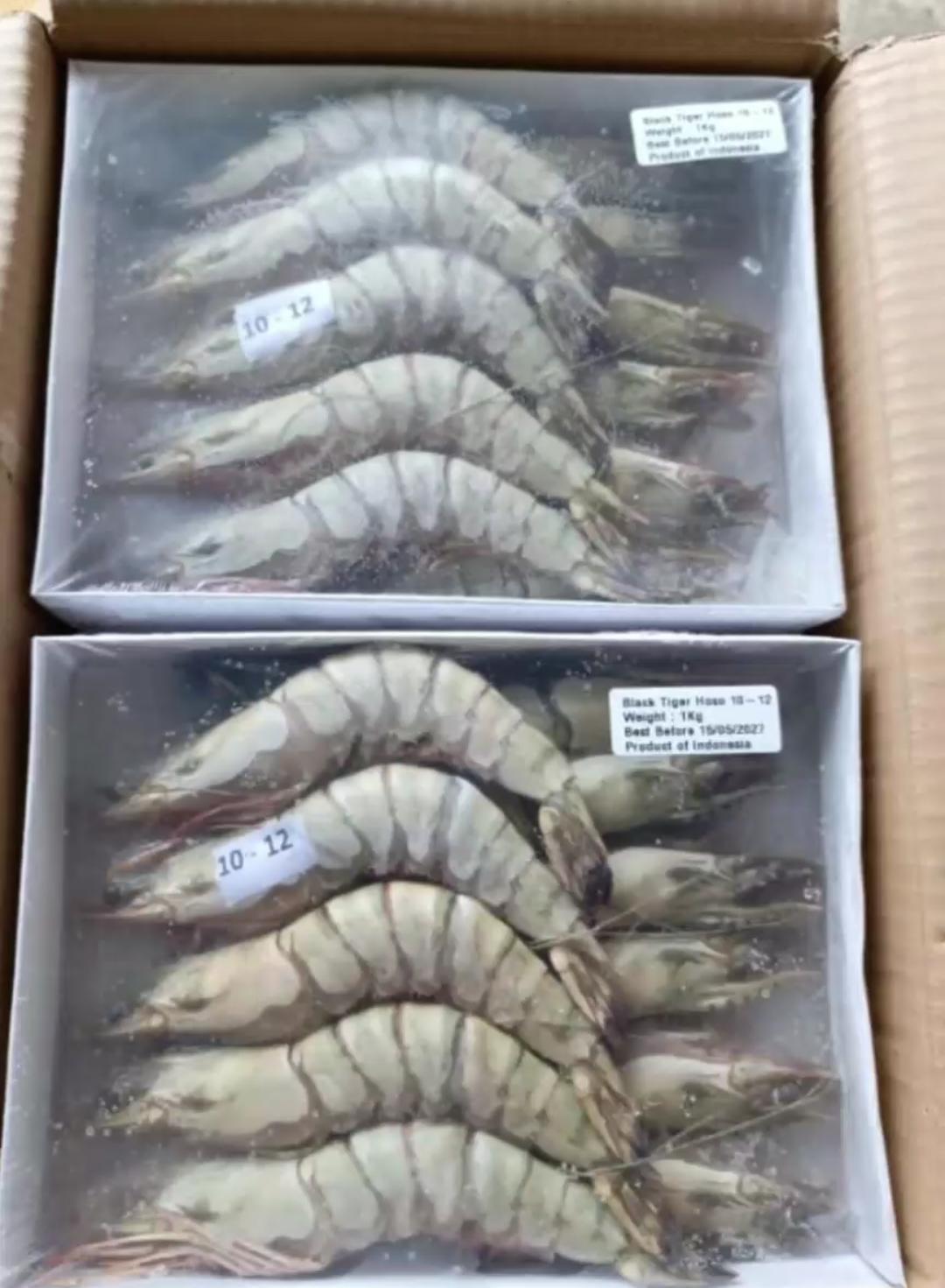 Udang Tiger Pancet Size Besar